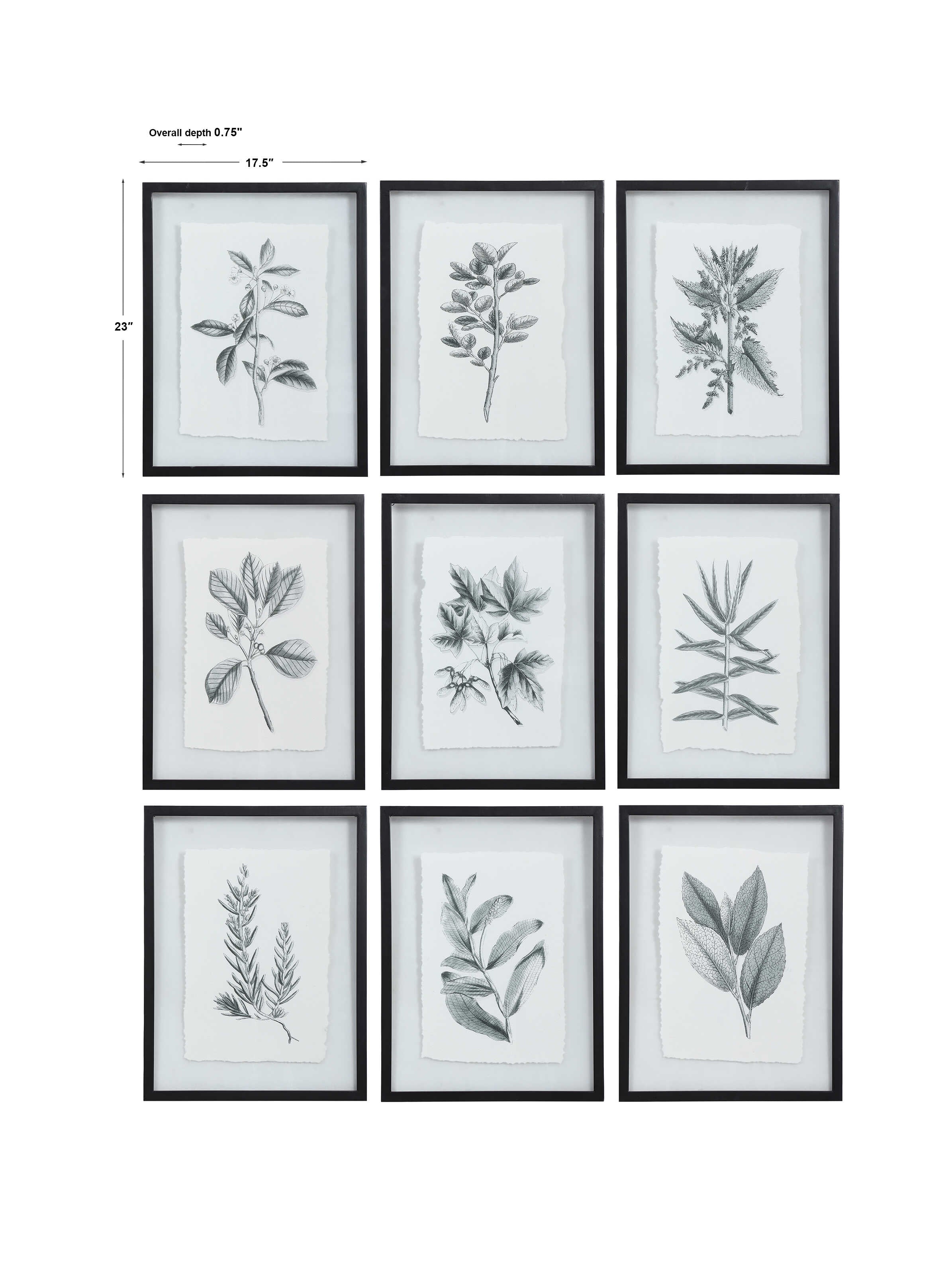 Farmhouse Florals Framed Prints Set/9