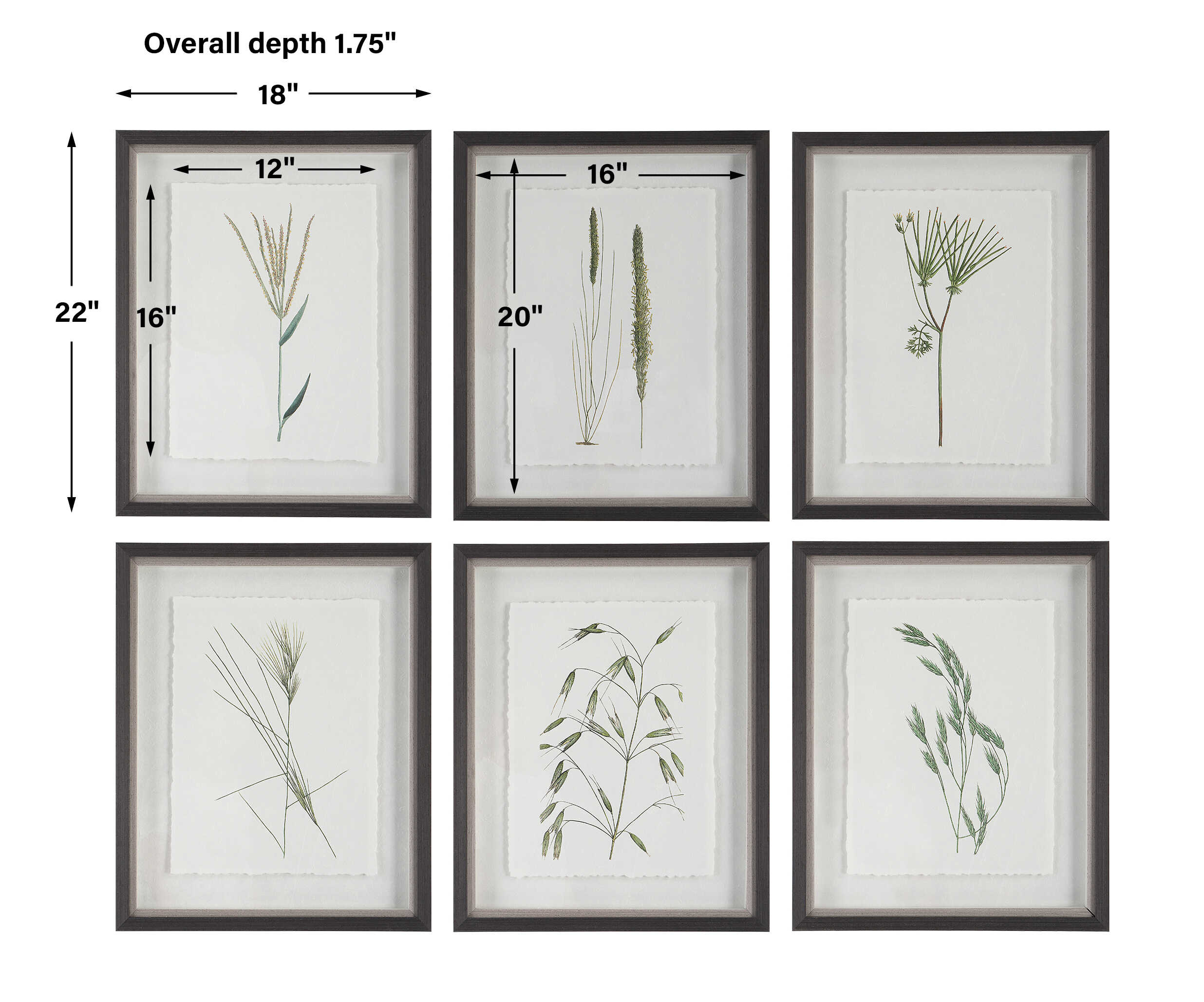 Forest Finds Framed Prints Set/6
