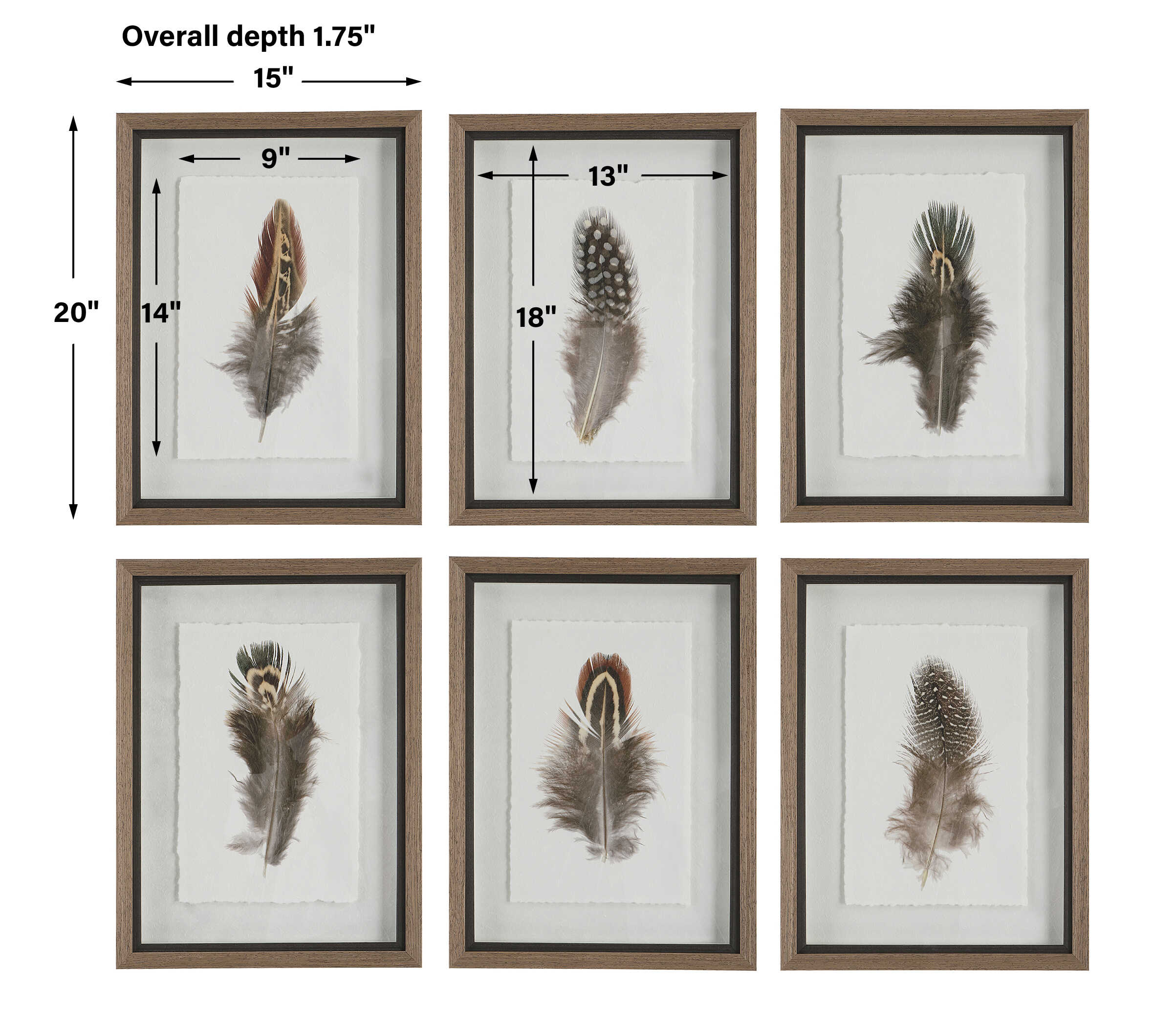 Birds Of A Feather Framed Prints Set/6
