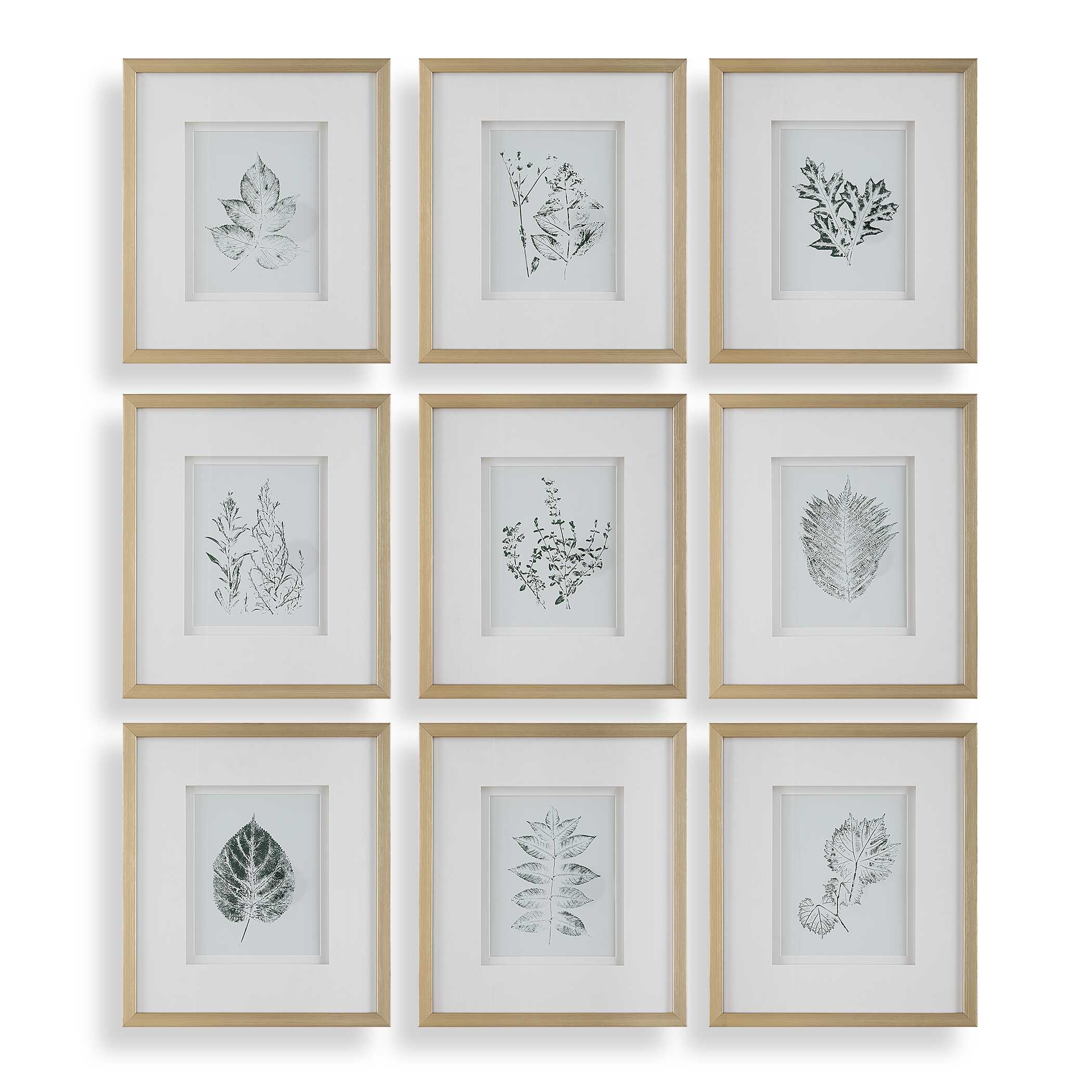 Nature's Script Framed Botanical Prints Set/9