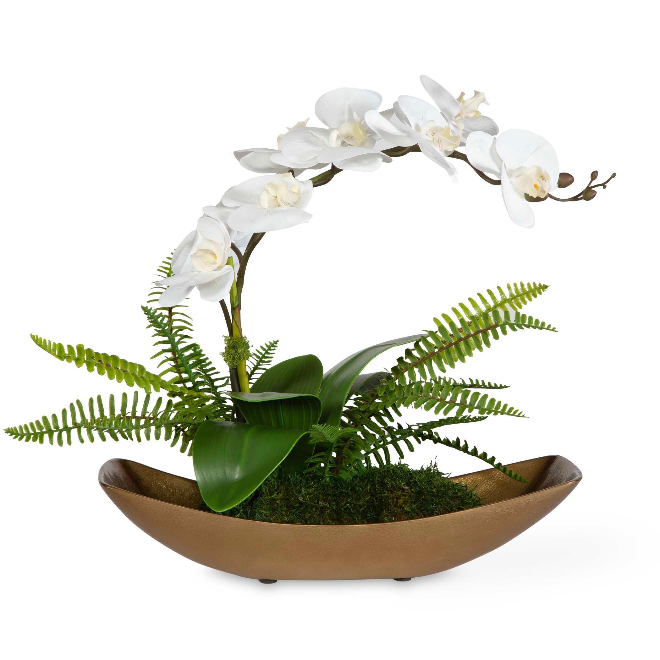 Transcend Orchid Centerpiece