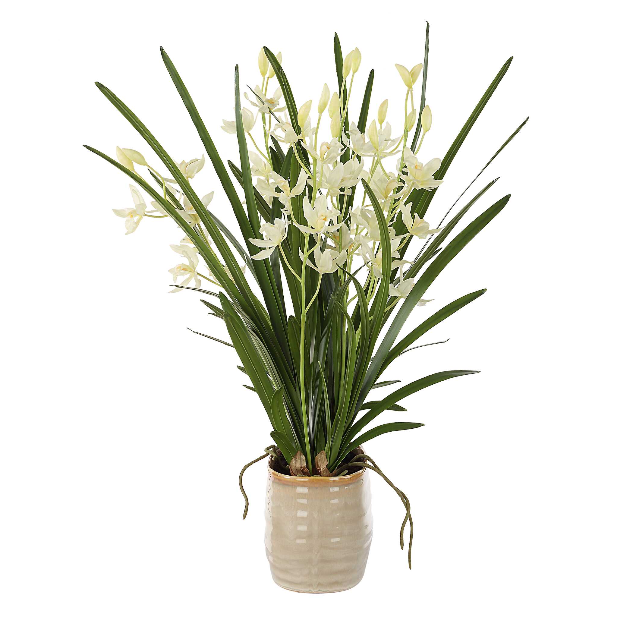 Ariana Orchid Planter
