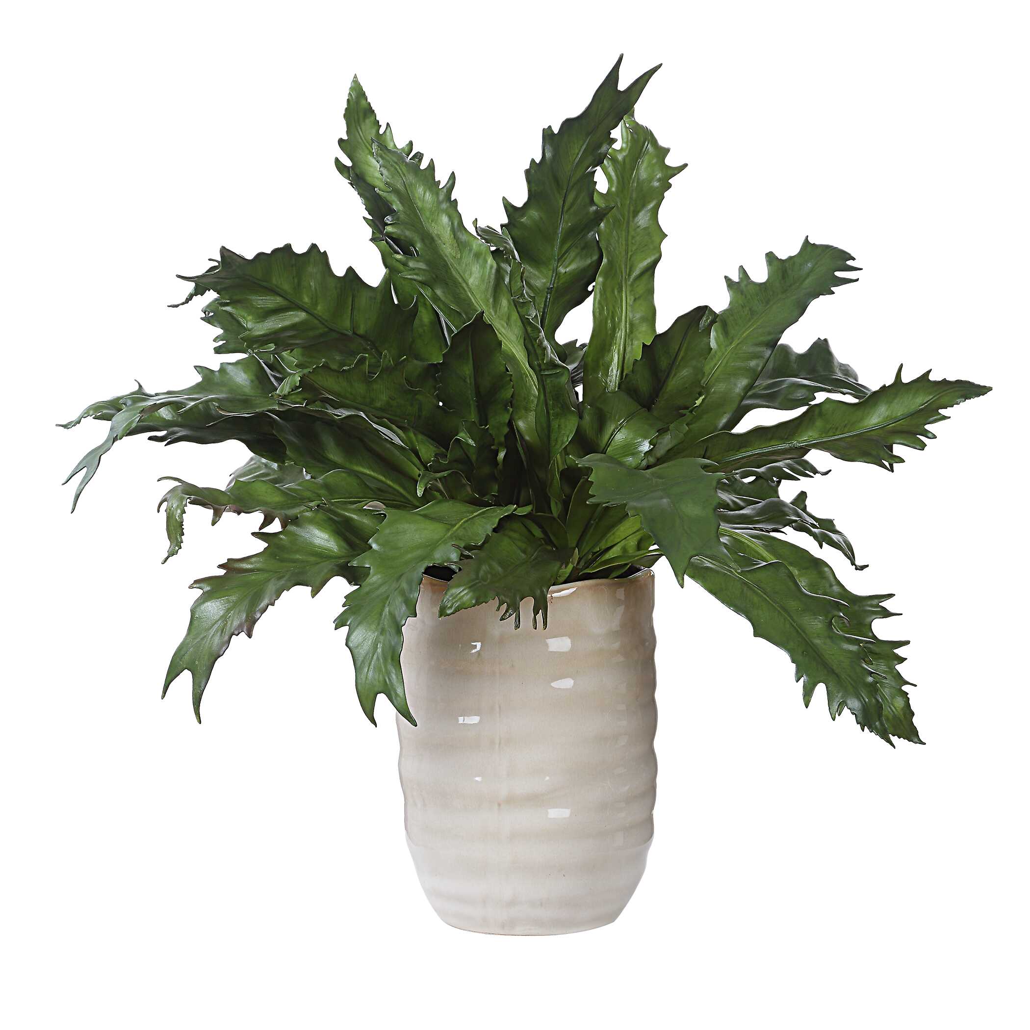Verdure Fern In Glazed Pot