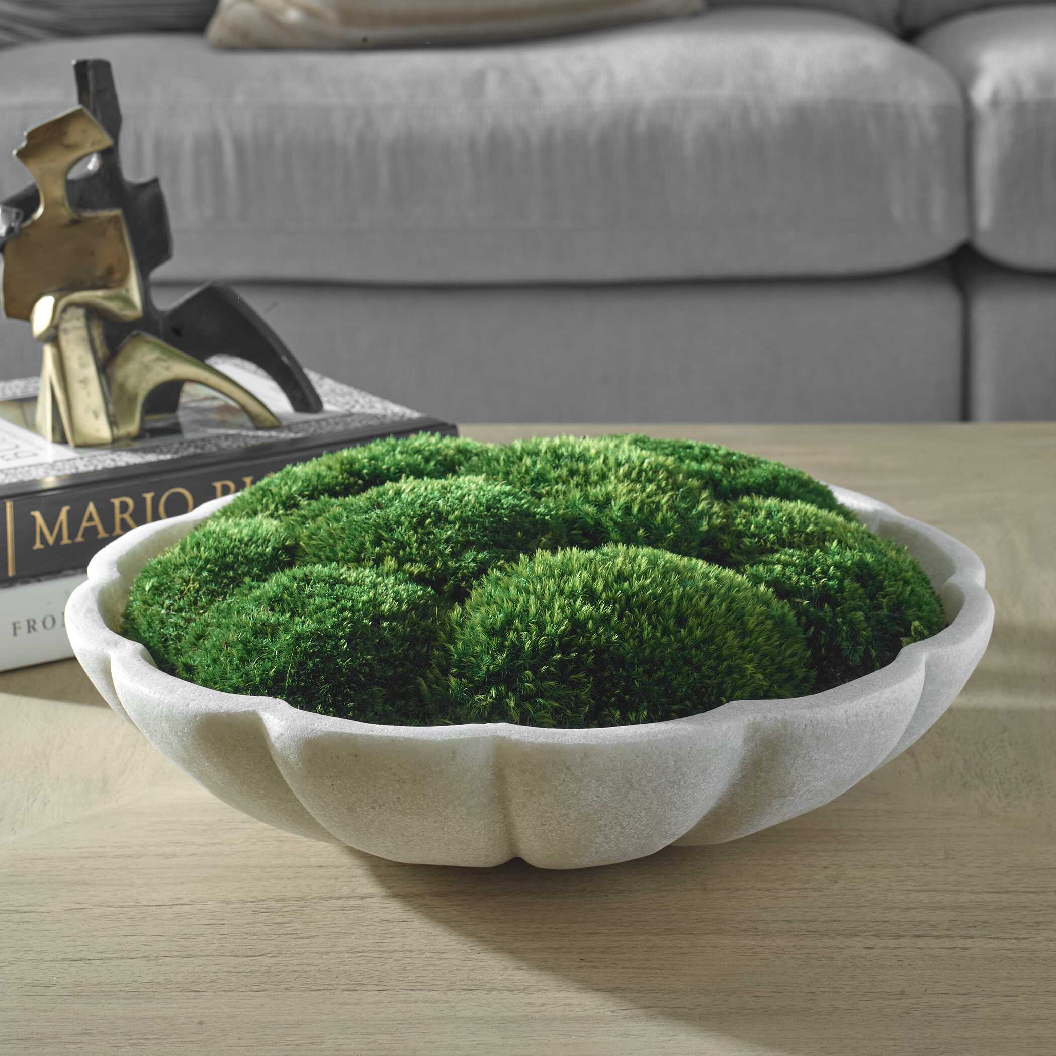 Awaken Moss Centerpiece