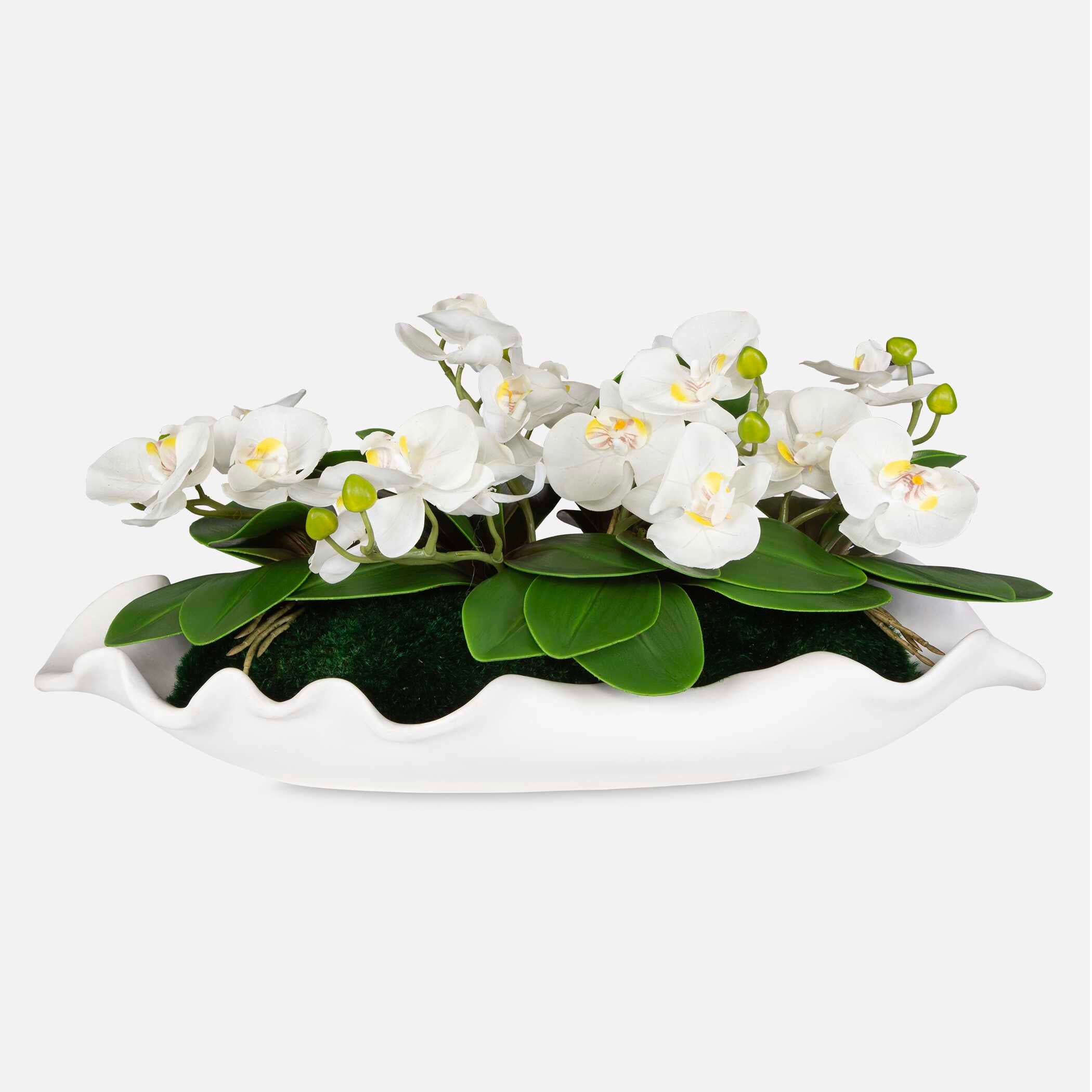 Opulence Orchid Centerpiece With Bowl