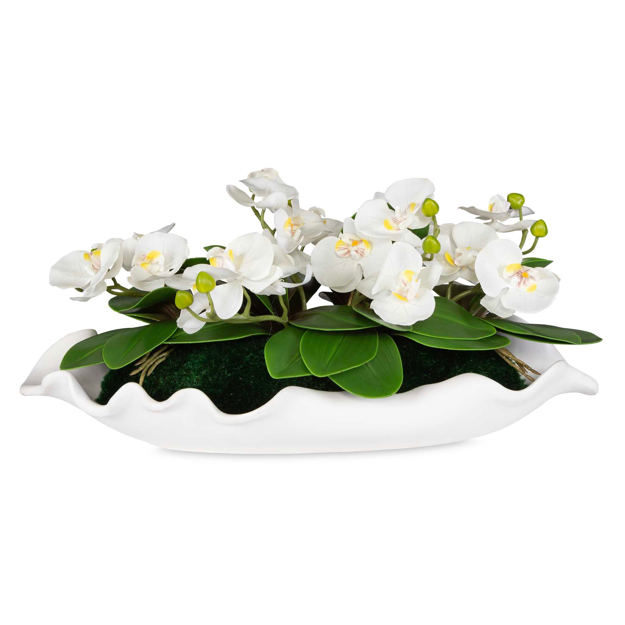 Opulence Orchid Centerpiece With Bowl
