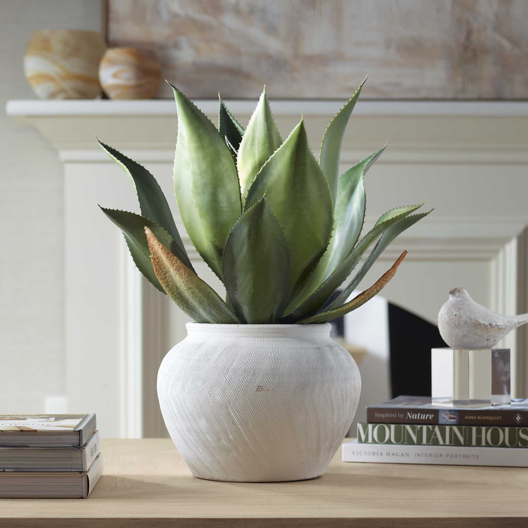 Tierra Agave Centerpiece With Vase