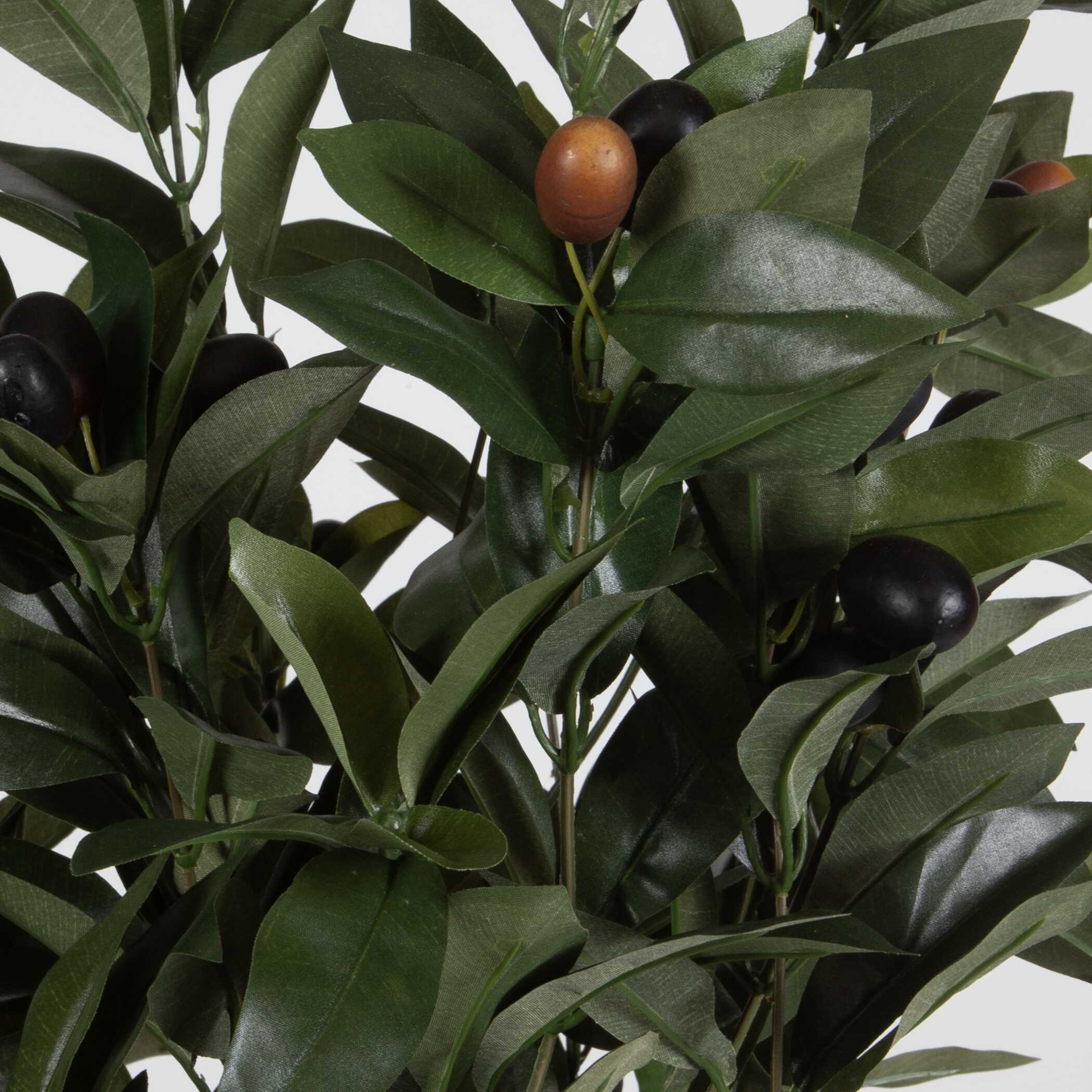 Elena Olive Centerpiece