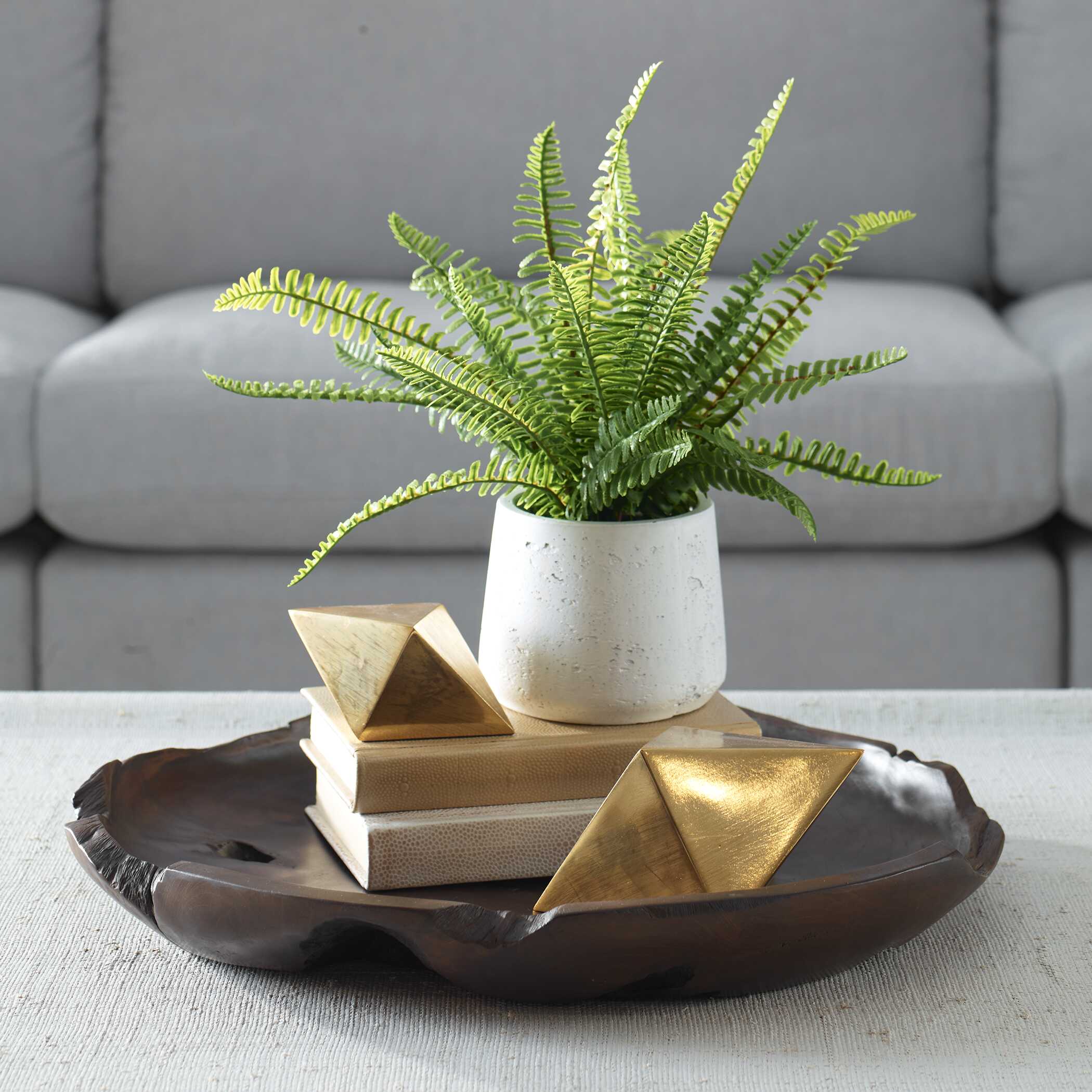 Boston Fern In White Ceramic Pot