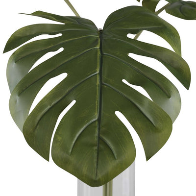 Ibero Split Leaf Palm Floral