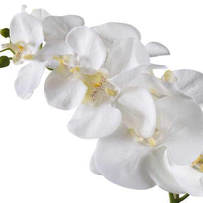 MHA Cecily Hydrangea Bouquet