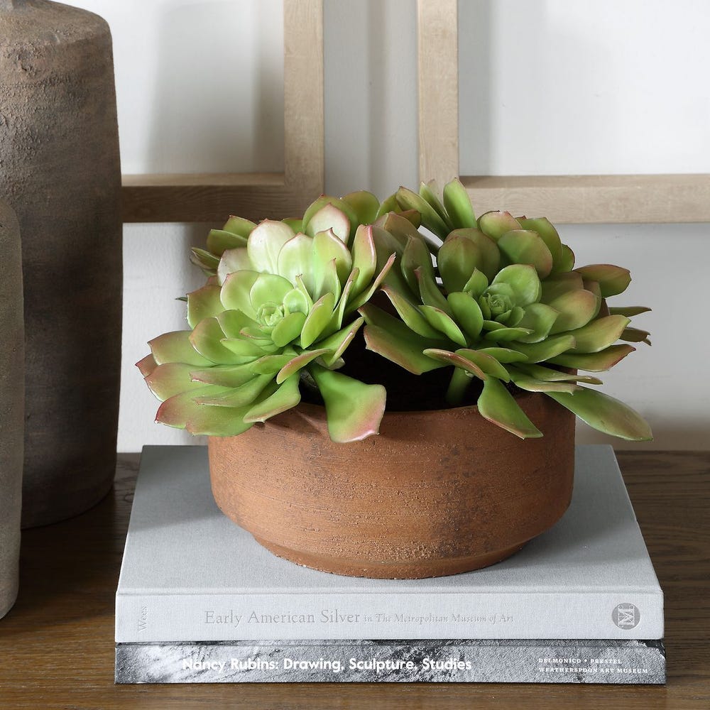 american plant succulents Uttermost Sable Succulent Accent In Pot