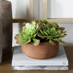 Sable Succulent Accent