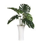 Muse Monstera Centerpiece