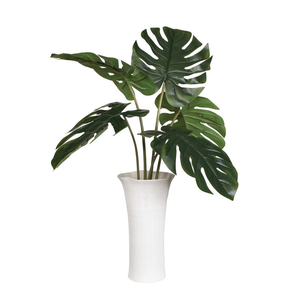 Muse Monstera Centerpiece