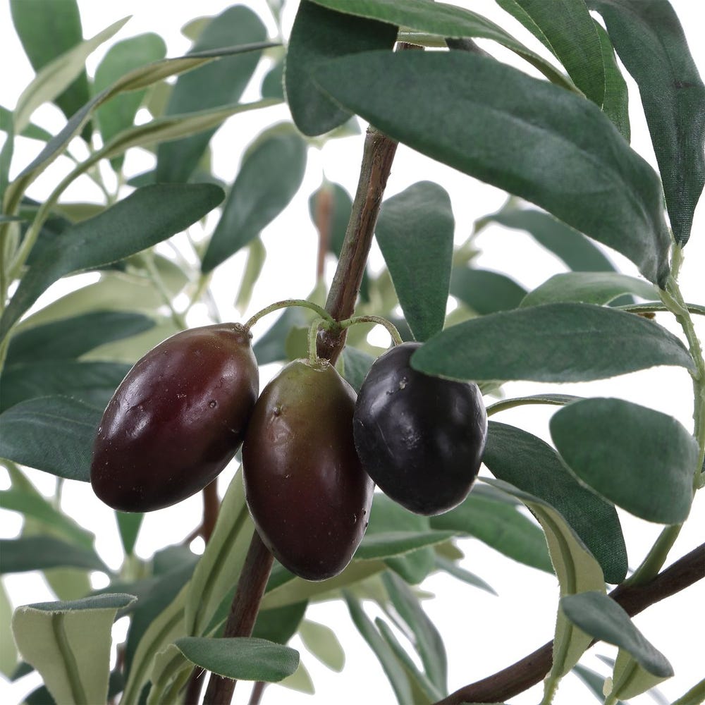 Marisol Potted Olive