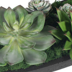 Verde Succulent Centerpiece