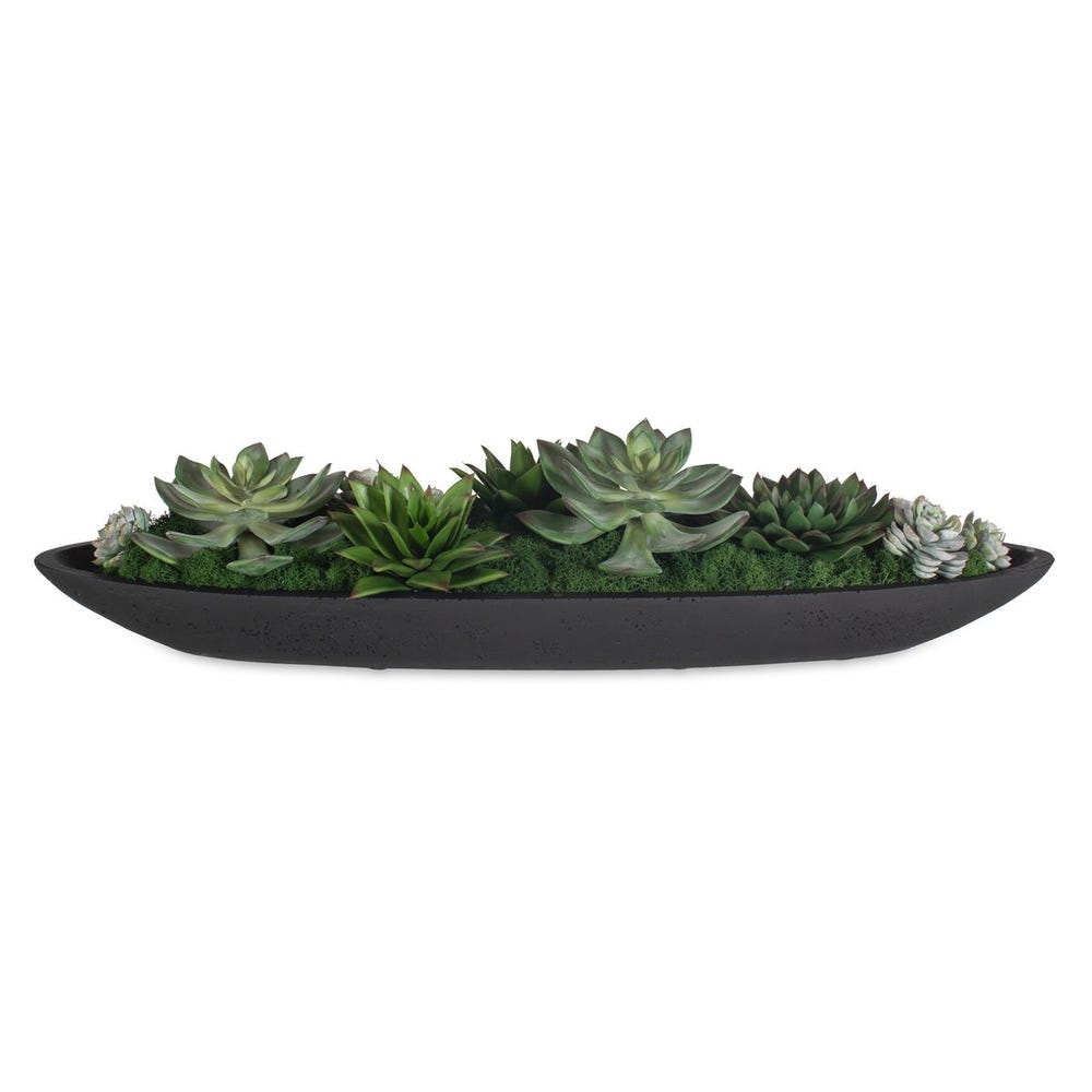 Verde Succulent Centerpiece