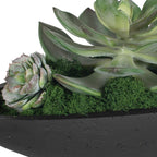 Verde Succulent Centerpiece