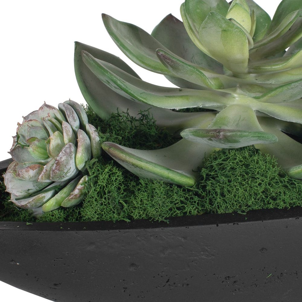Verde Succulent Centerpiece