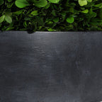 Verdana Boxwood Centerpiece