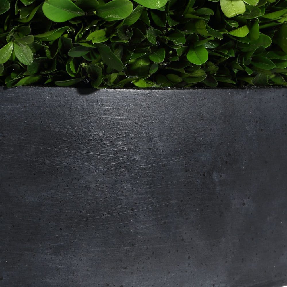 Verdana Boxwood Centerpiece