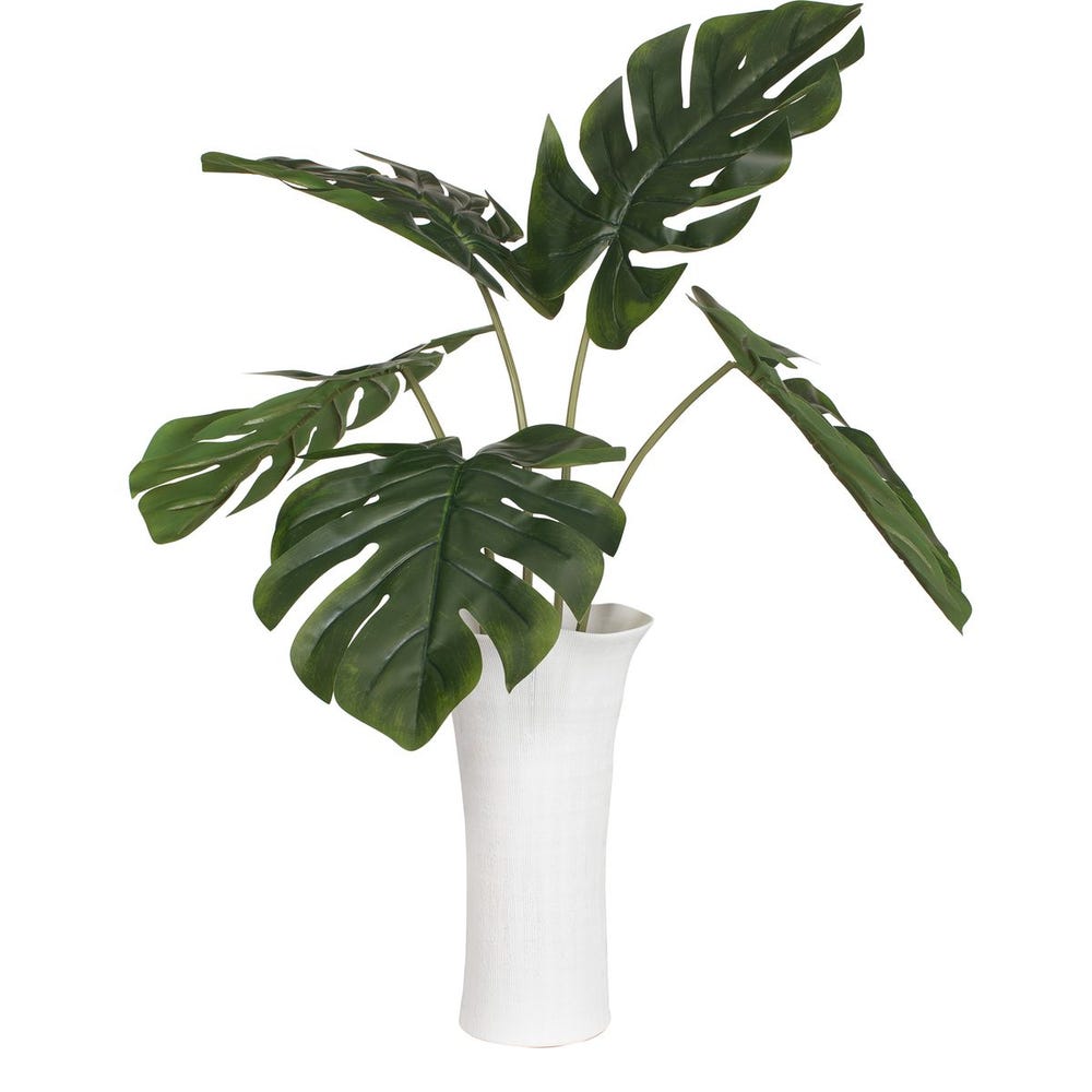 Muse Monstera Centerpiece