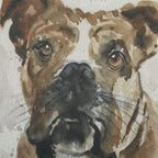 Dog Days Framed Prints Set/4