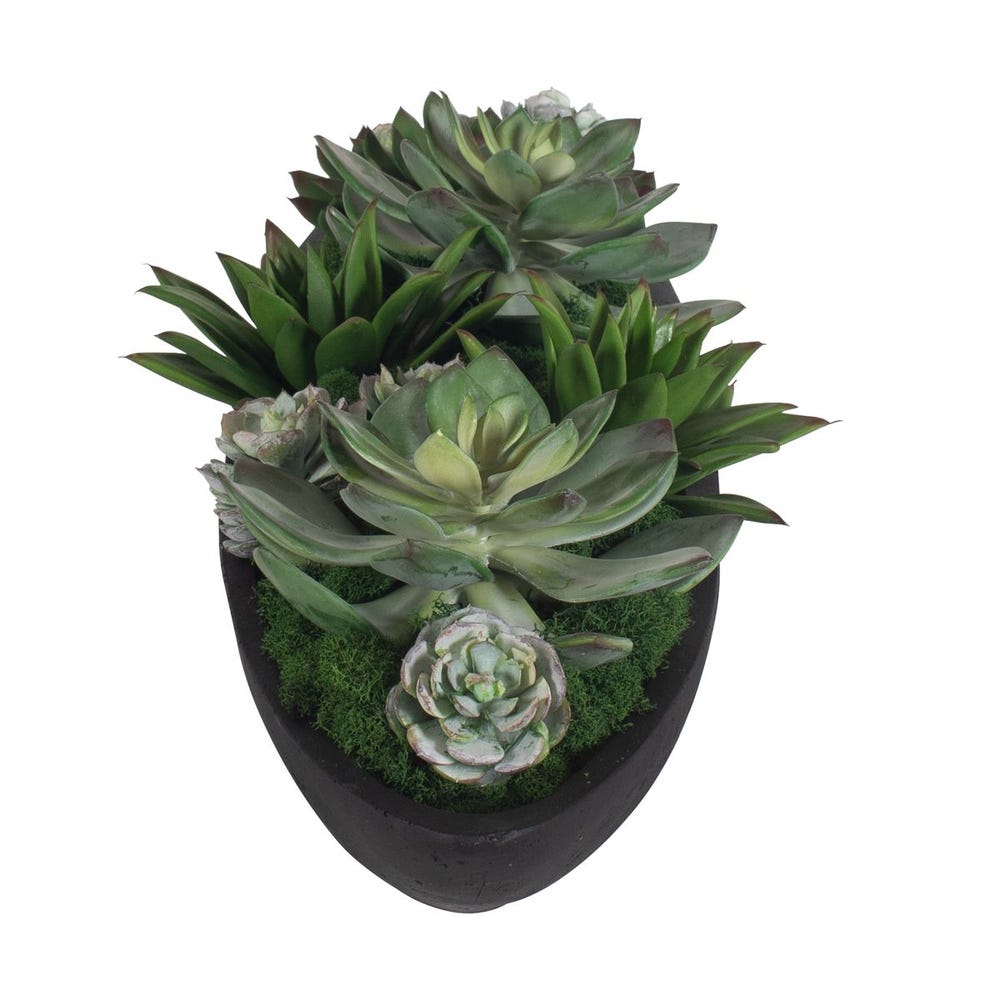 Verde Succulent Centerpiece
