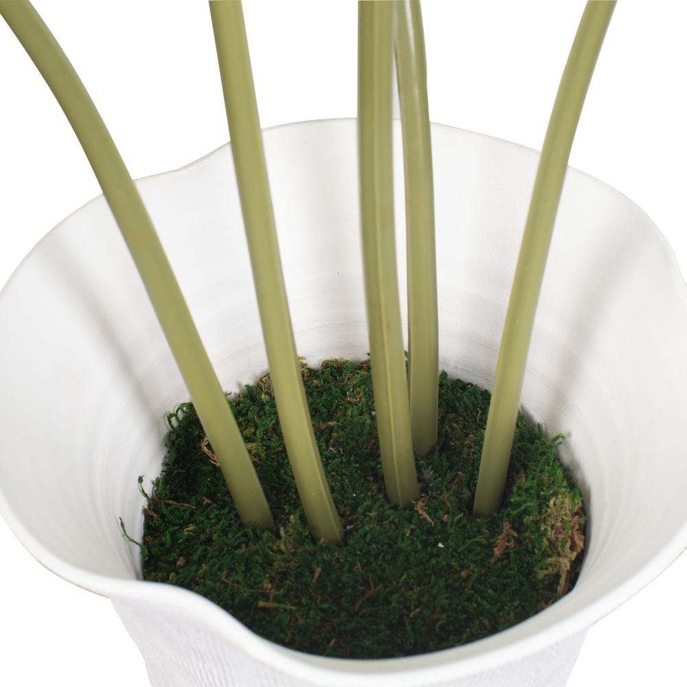 Muse Monstera Centerpiece