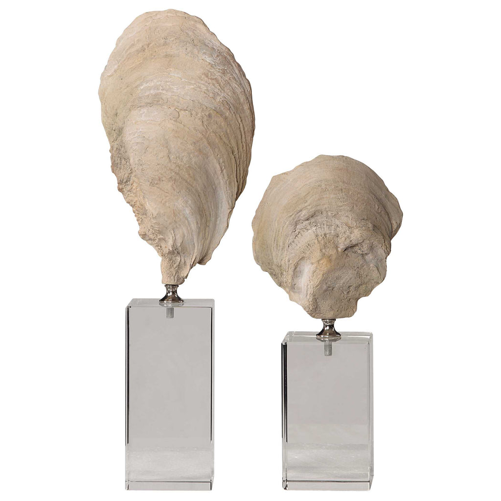 Oyster Shell Sculptures Set/2