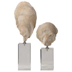 Oyster Shell Sculptures Set/2
