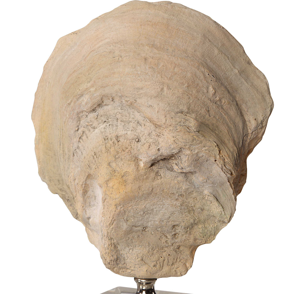 Oyster Shell Sculptures Set/2