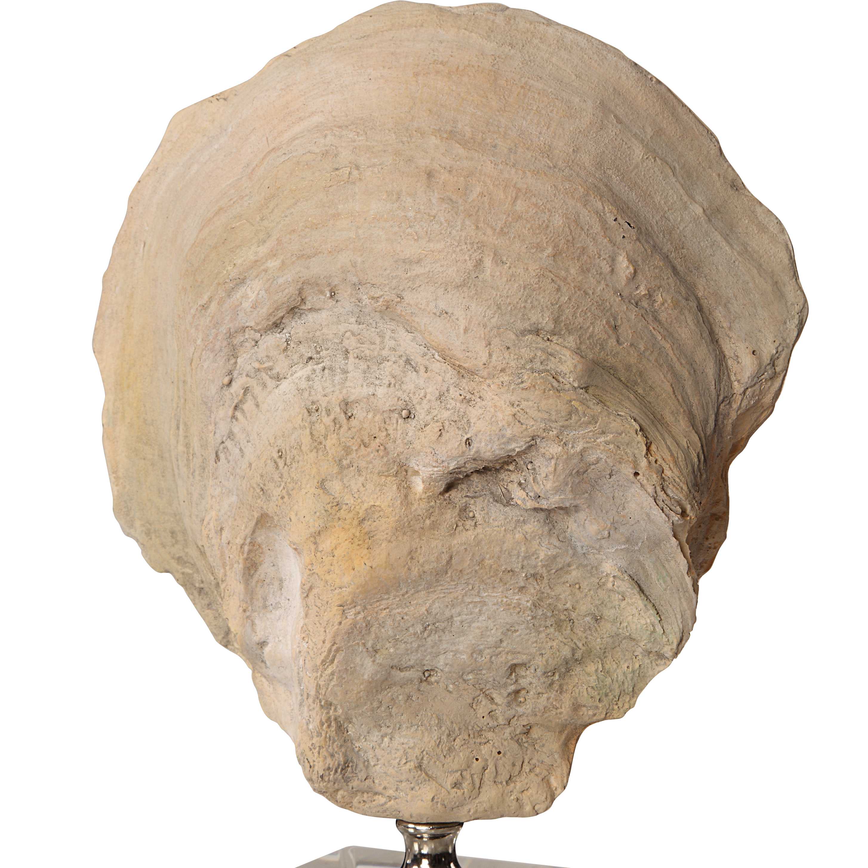 Oyster Shell Sculptures Set/2