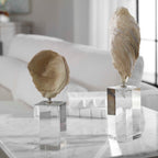 Oyster Shell Sculptures Set/2