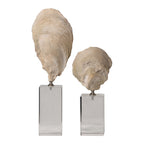 Oyster Shell Sculptures Set/2