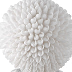 Cascara White Sculpture