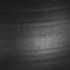 Bower Black Vases Set/2