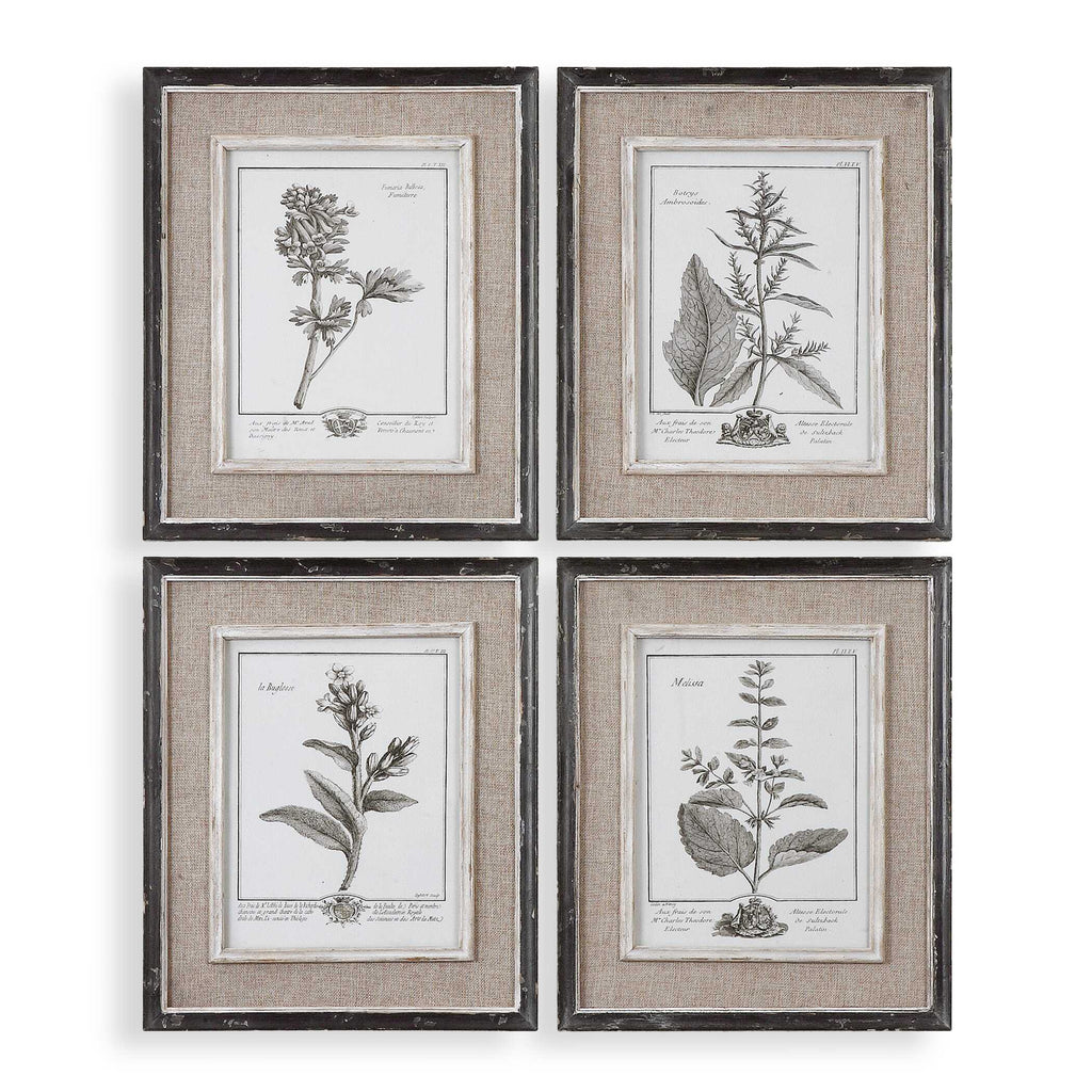 Casual Grey Study Framed Art Set/4