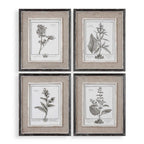 Casual Grey Study Framed Art Set/4