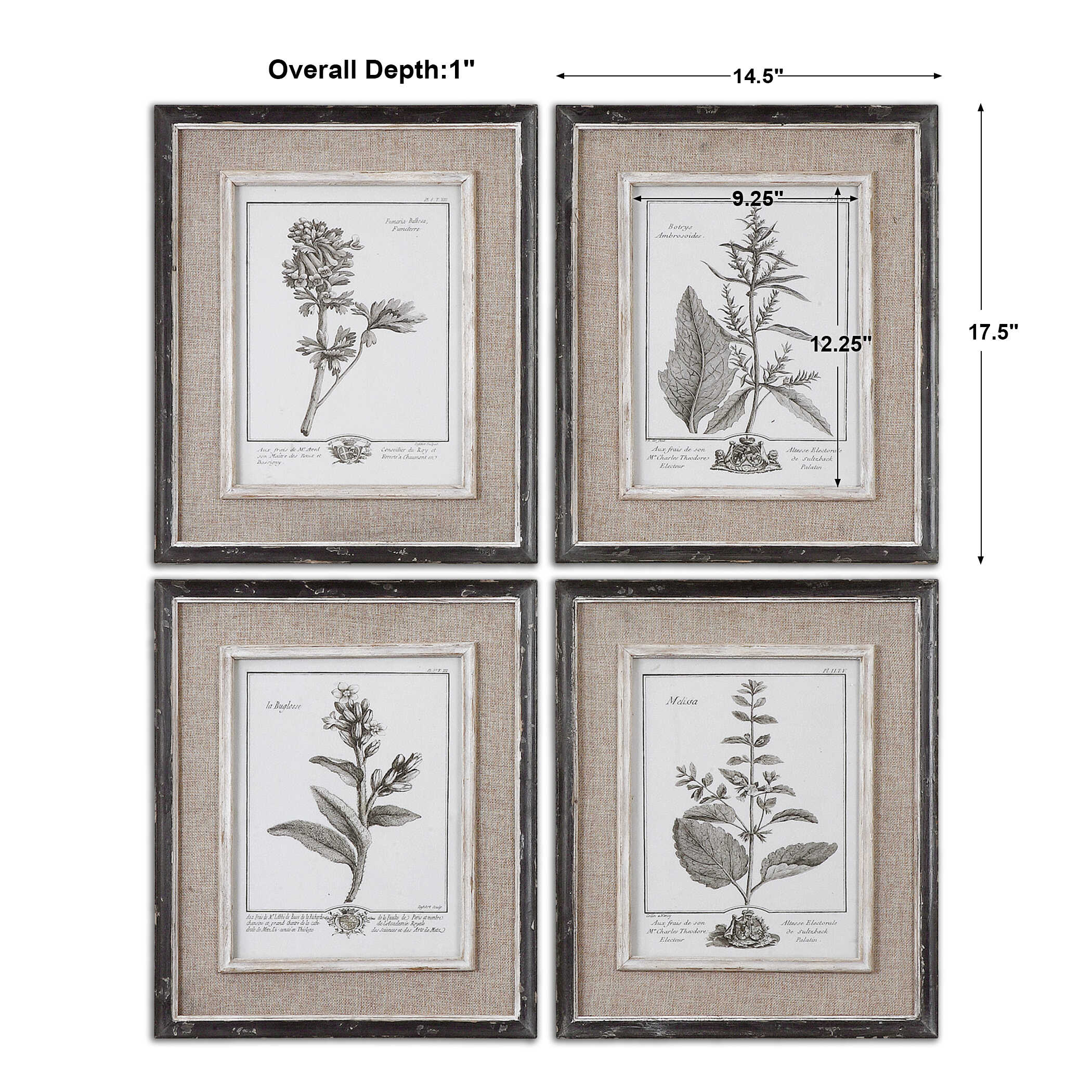 Casual Grey Study Framed Art Set/4