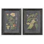 Midnight Botanicals Wall Art Set/2