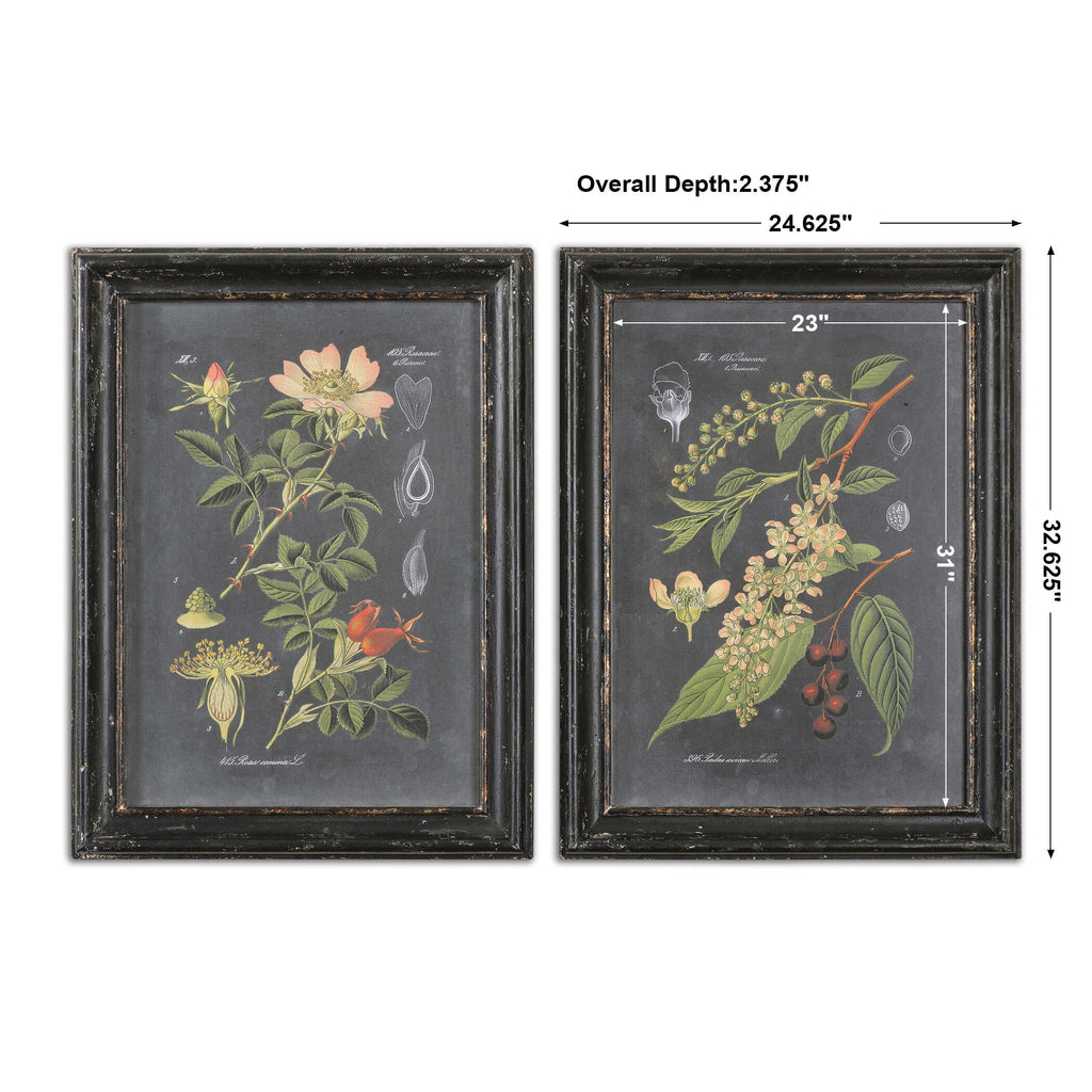 Midnight Botanicals Wall Art Set/2