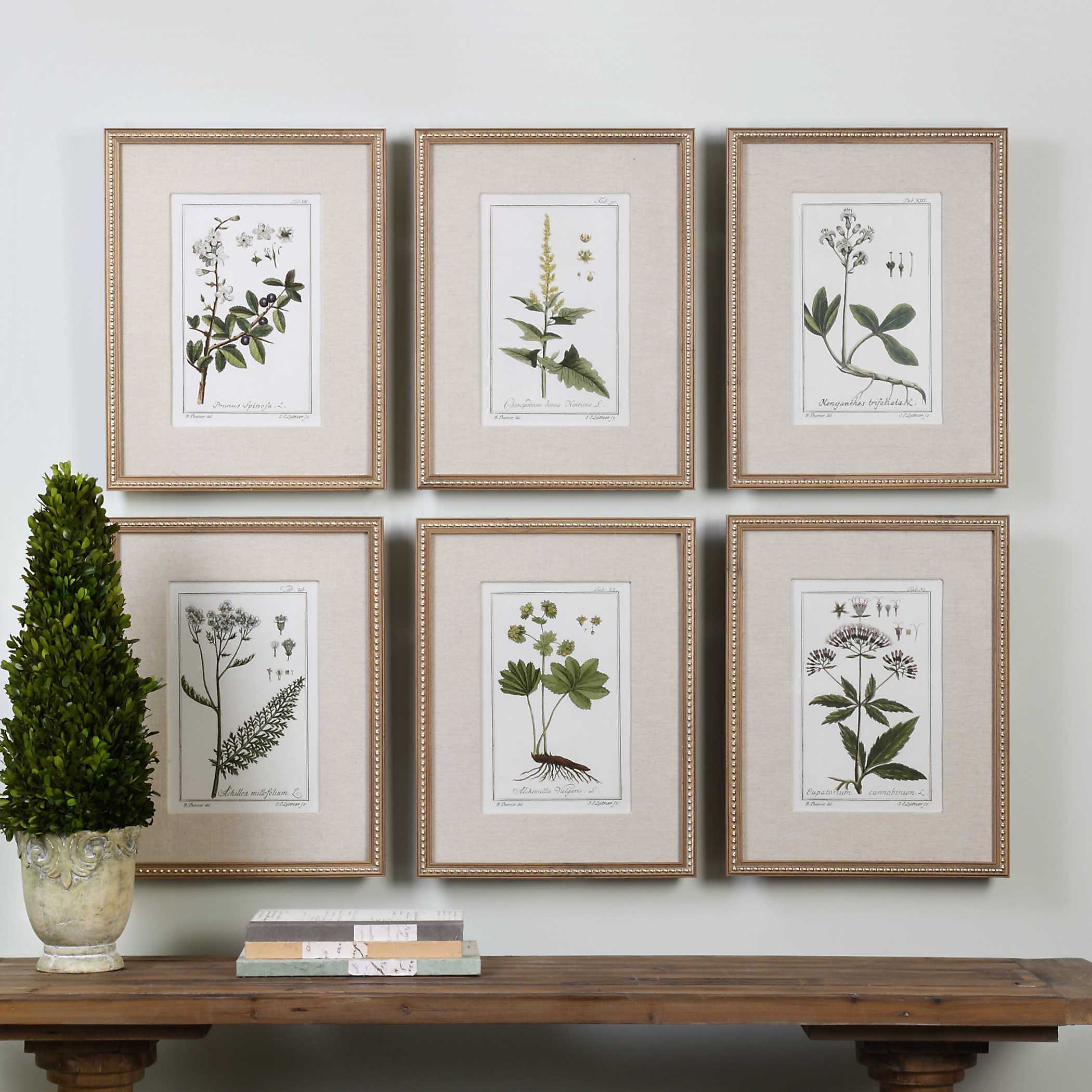 Green Floral Botanical Study Prints Set/6