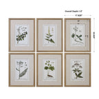 Green Floral Botanical Study Prints Set/6
