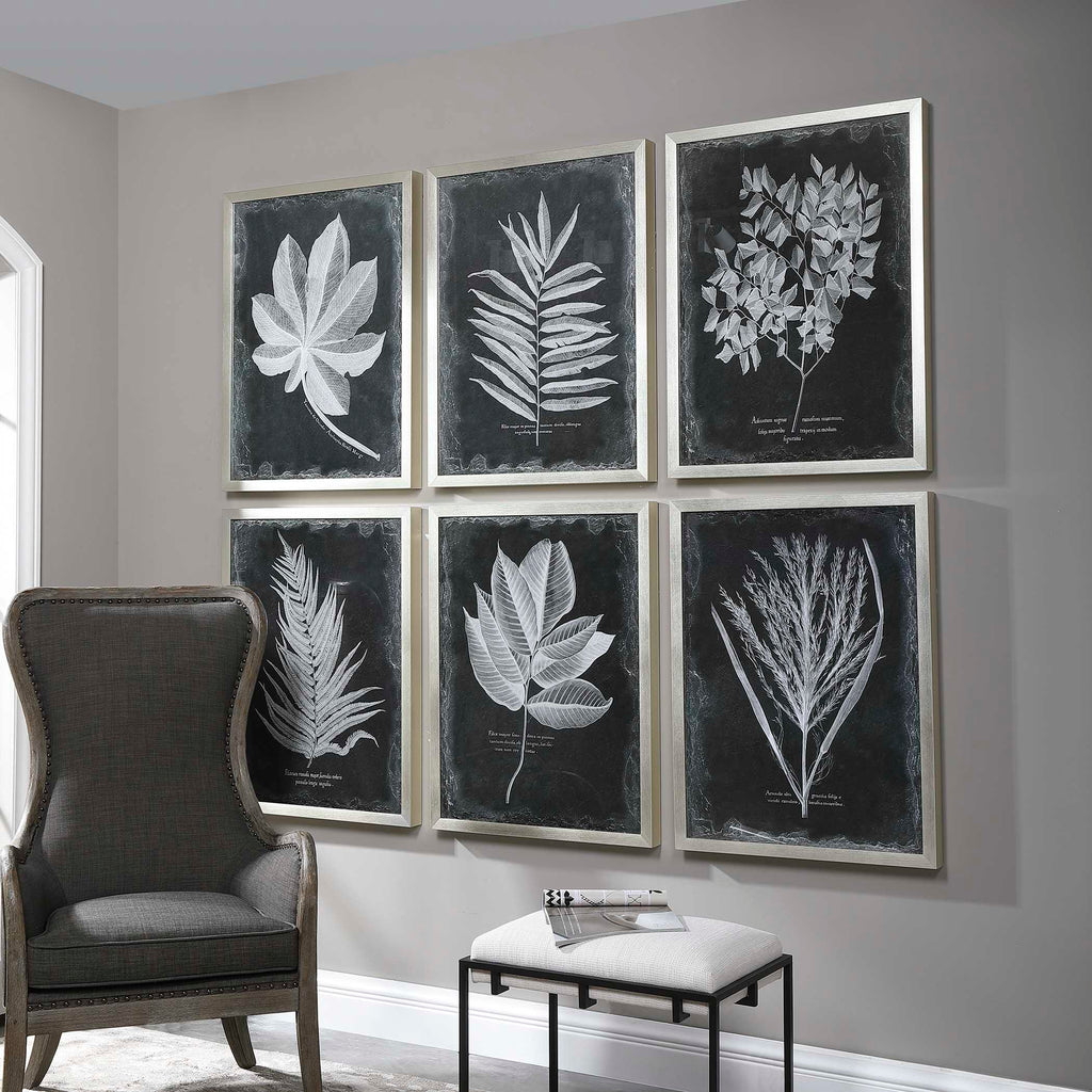 Foliage Framed Prints Set/6