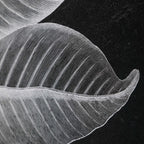 Foliage Framed Prints Set/6