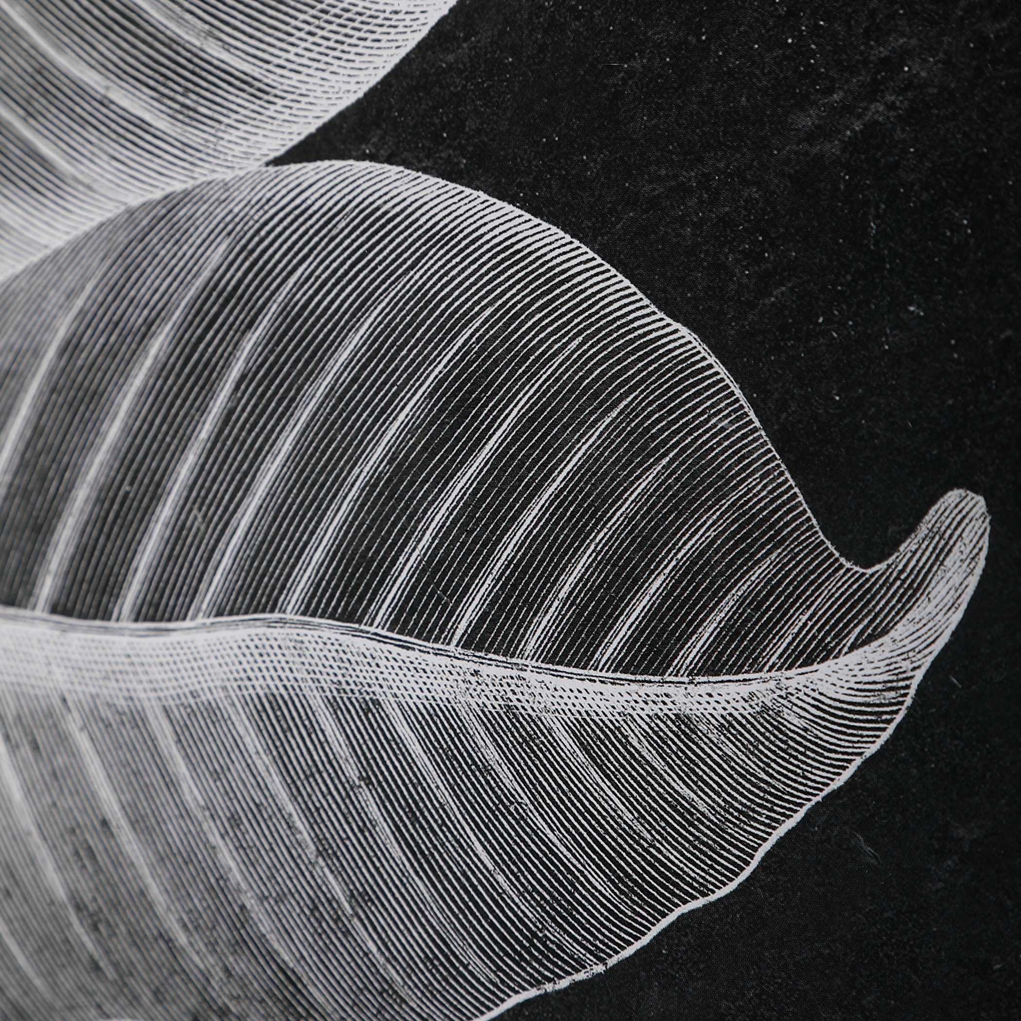 Foliage Framed Prints Set/6