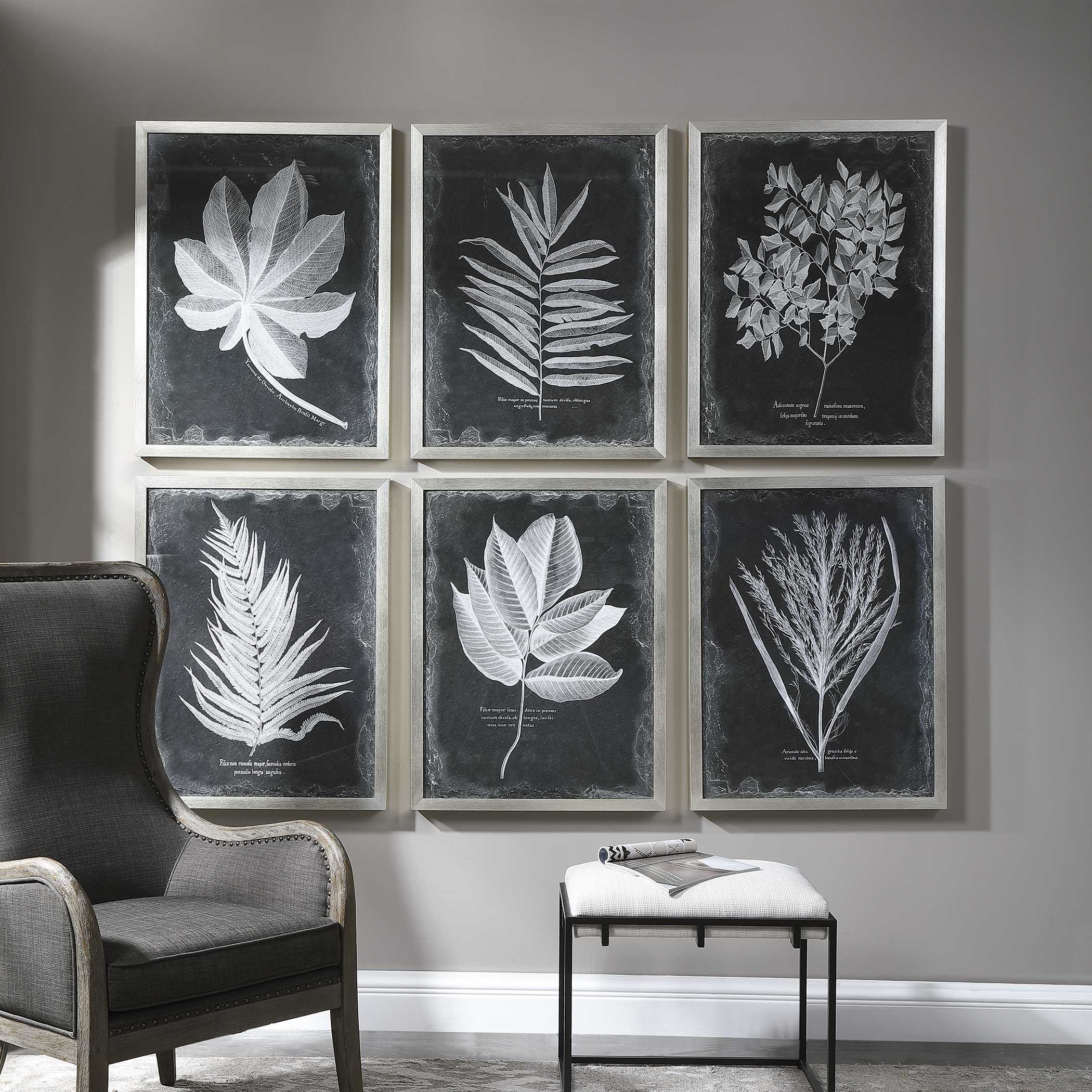 Foliage Framed Prints Set/6