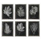 Foliage Framed Prints Set/6